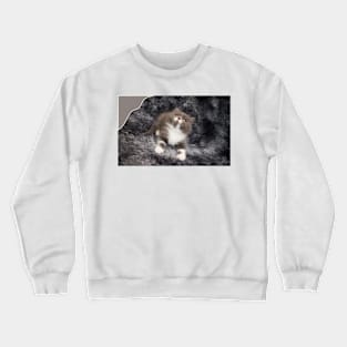 lovely cats Crewneck Sweatshirt